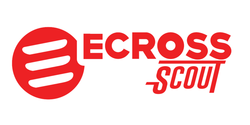 Logo Scout