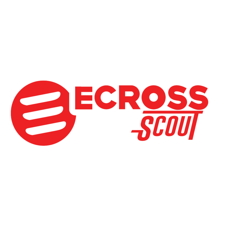 Logo Scout